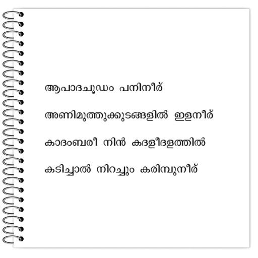 Picture of the product