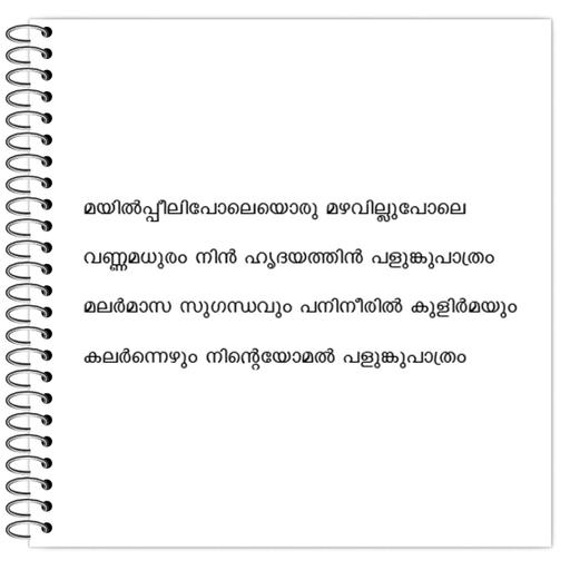 Picture of the product