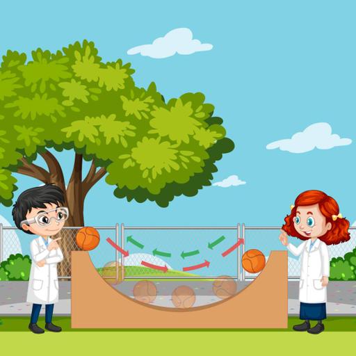 Picture of the product