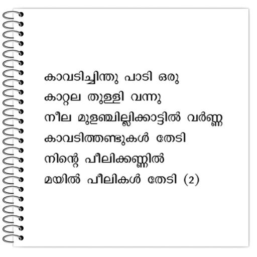 Picture of the product