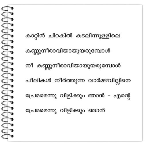 Picture of the product