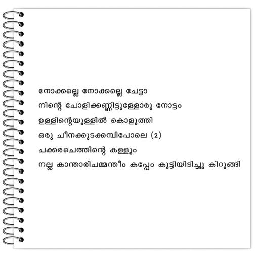 Picture of the product