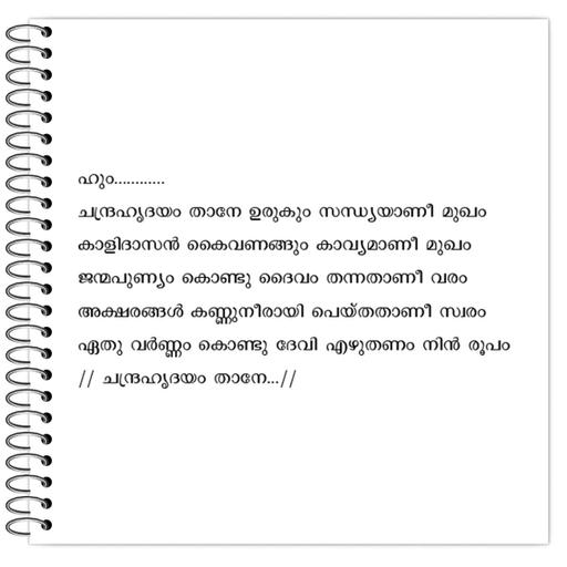 Picture of the product