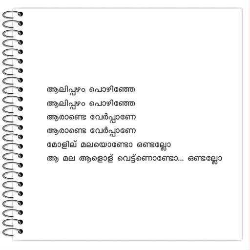 Picture of the product