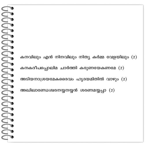 Picture of the product