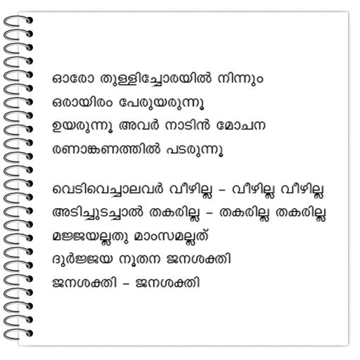 Picture of the product