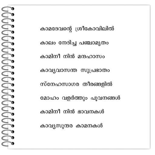 Picture of the product