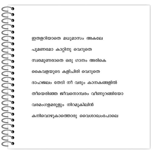 Picture of the product