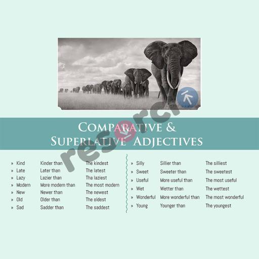 Picture of the product