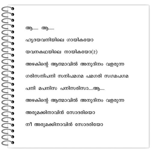 Picture of the product