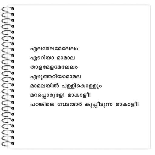 Picture of the product