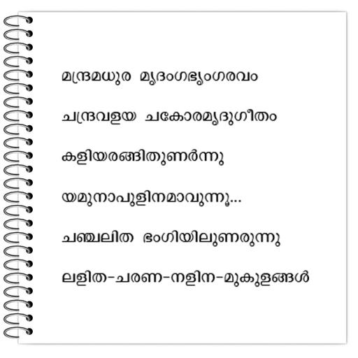 Picture of the product