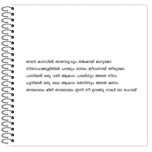 Picture of the product