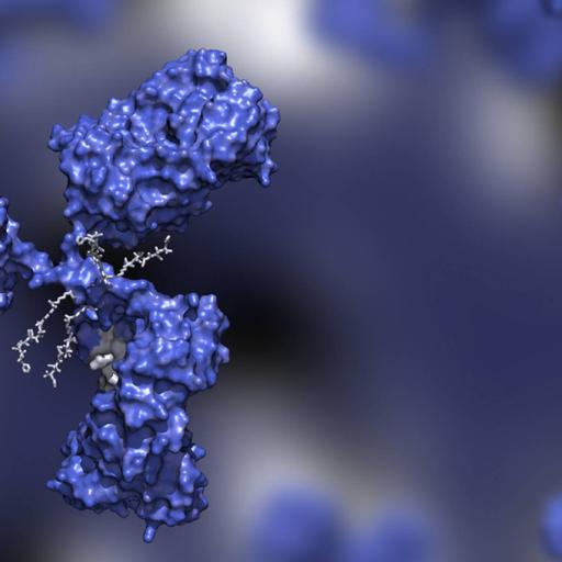 Picture of the product