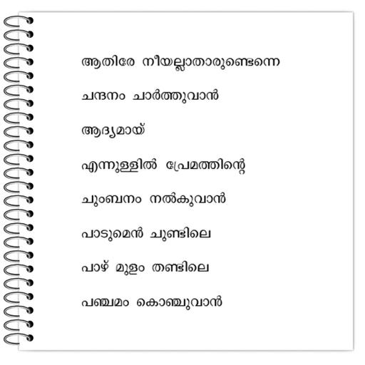 Picture of the product