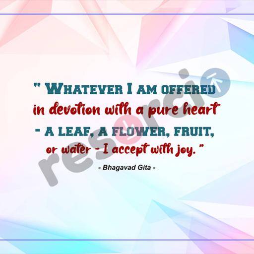 Picture of the product