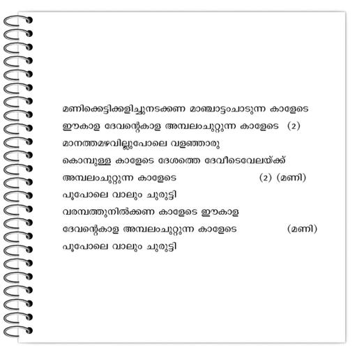 Picture of the product