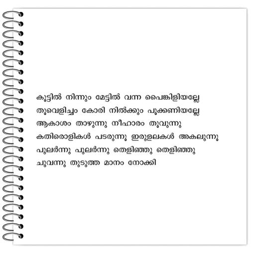 Picture of the product