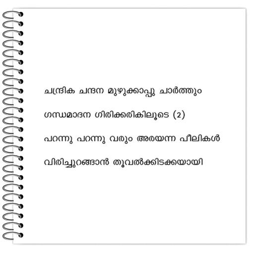 Picture of the product