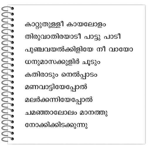 Picture of the product