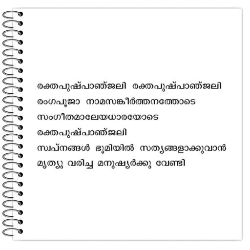 Picture of the product