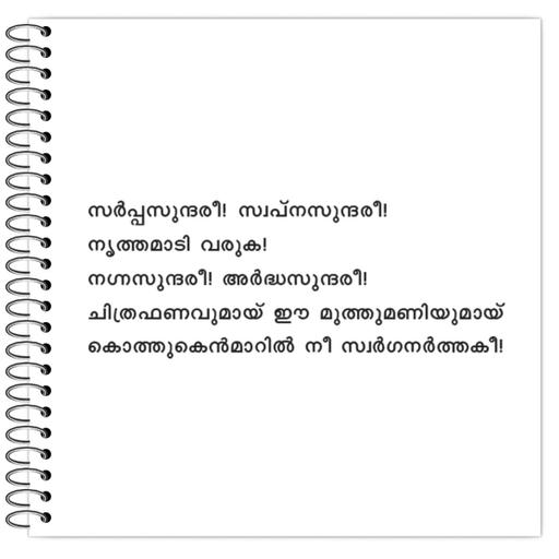 Picture of the product