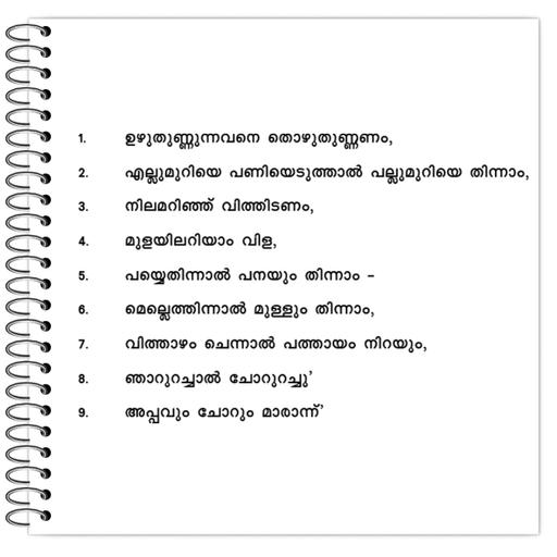 Picture of the product