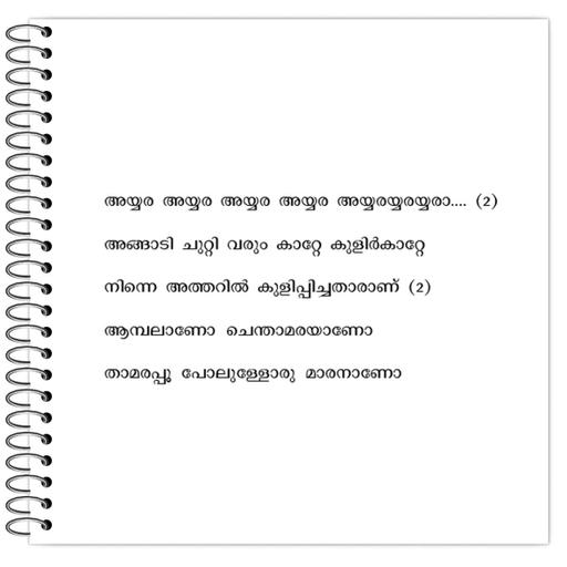 Picture of the product