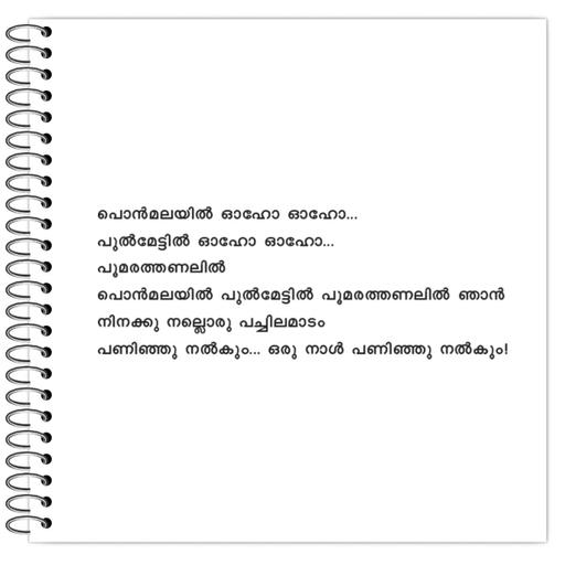 Picture of the product