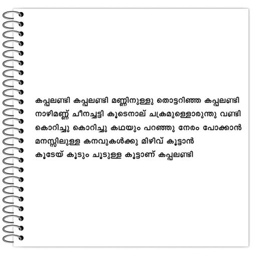 Picture of the product