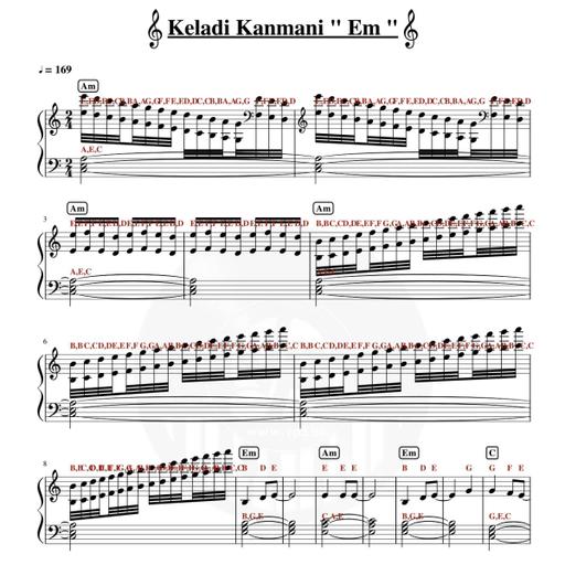 Picture of the product