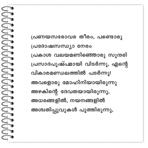 Picture of the product