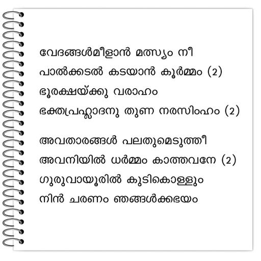 Picture of the product