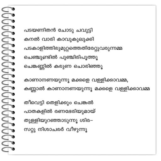 Picture of the product