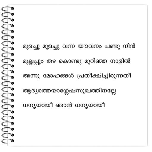 Picture of the product