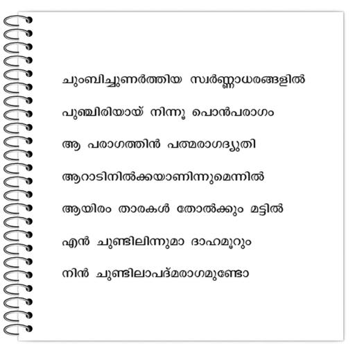 Picture of the product