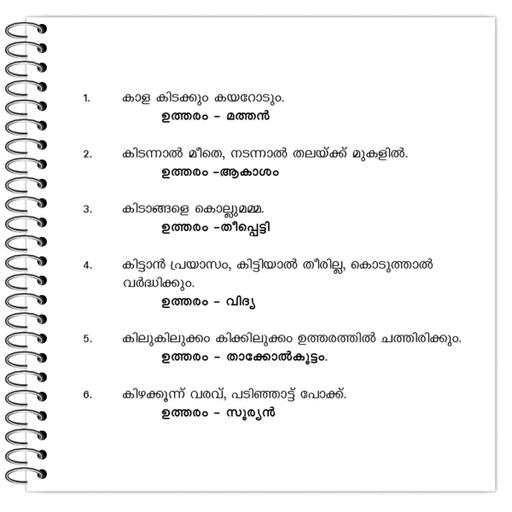 Picture of the product