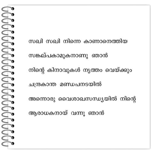 Picture of the product