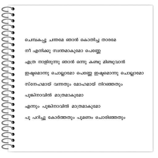 Picture of the product