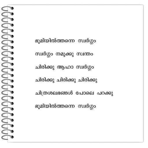 Picture of the product