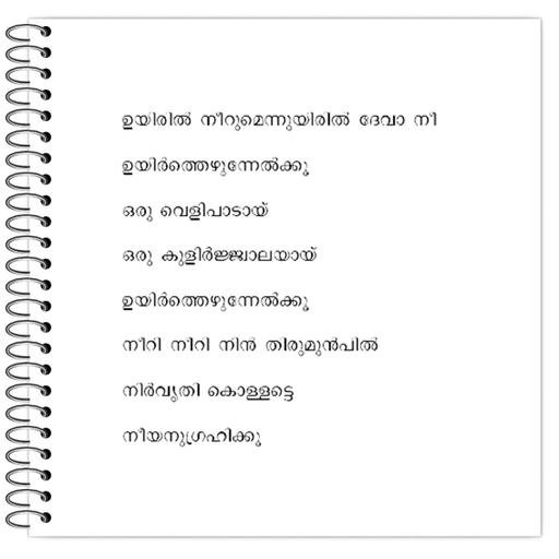 Picture of the product