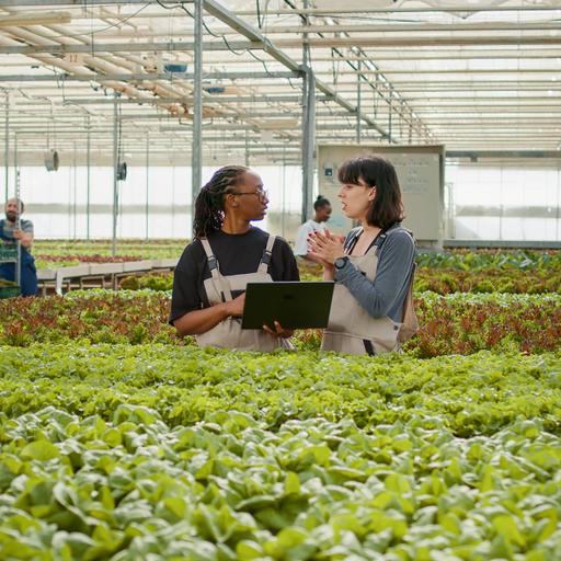 Picture of the product