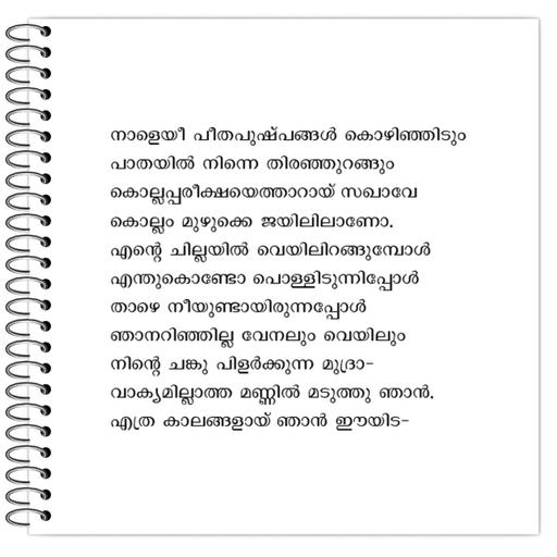 Picture of the product