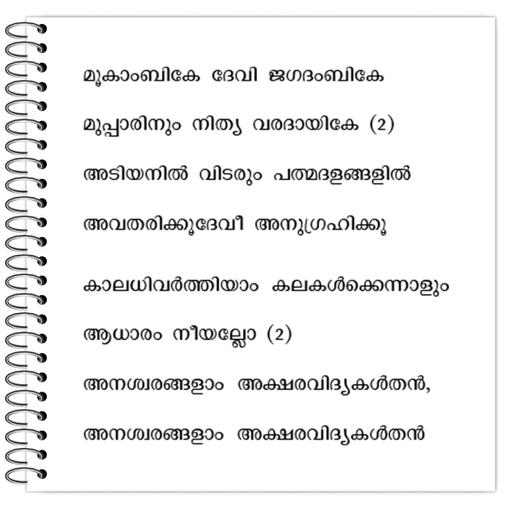 Picture of the product