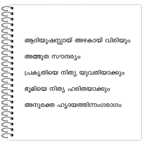 Picture of the product