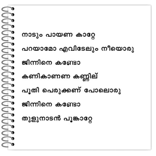 Picture of the product