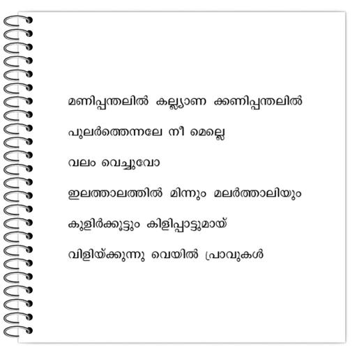 Picture of the product