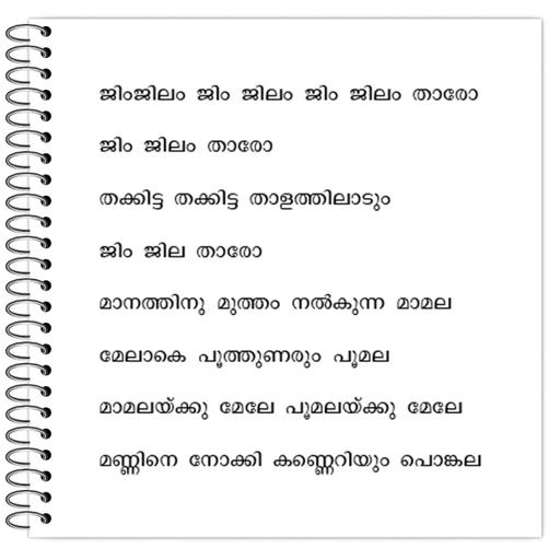 Picture of the product