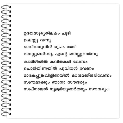 Picture of the product