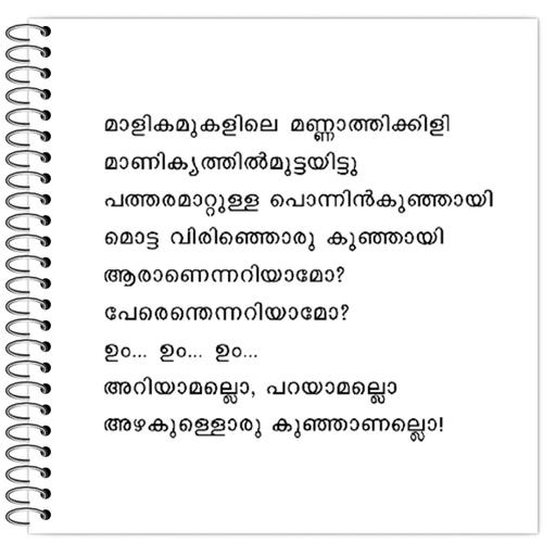 Picture of the product